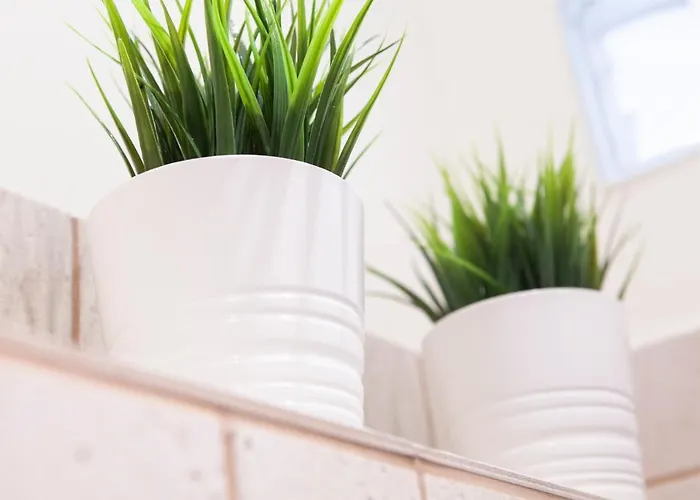 Lejlighed Barandiaran By Basque Homes